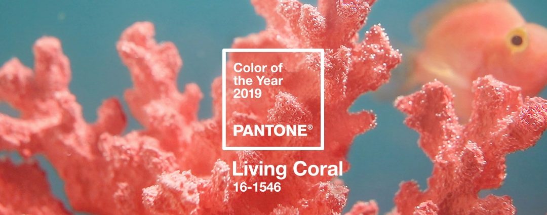 pantone color of the year 2019 living coral banner